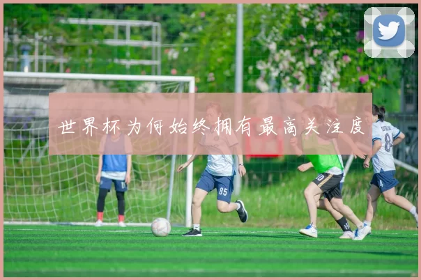 世界杯为何始终拥有最高关注度
