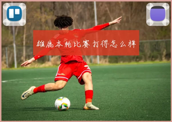 雄鹿本轮比赛打得怎么样