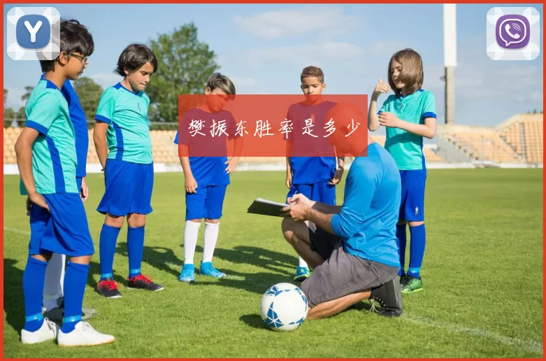 樊振东胜率是多少